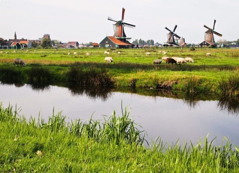werkgroep in de buurt