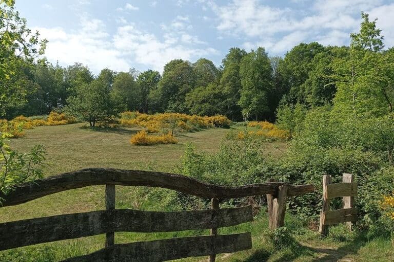 natuur