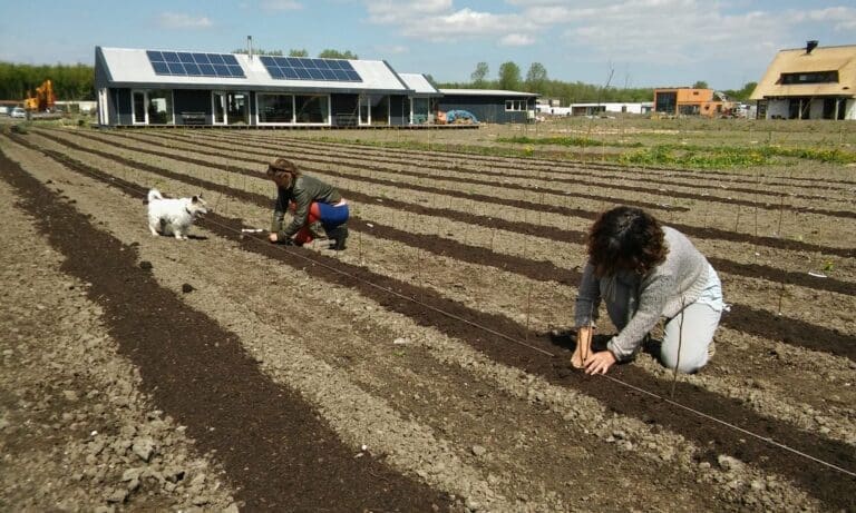 NIEUW! Maak Nederland letterlijk een stukje groener