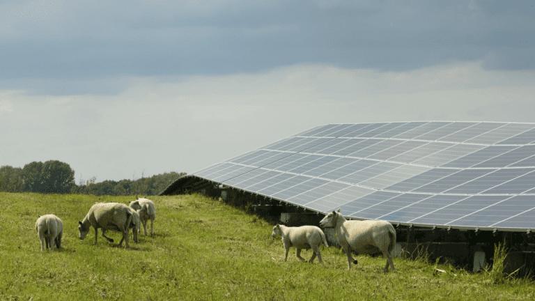 Altena Nieuwe Energie | om