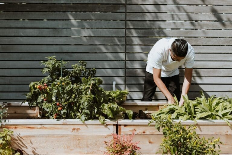 7 gratis tips om te starten met een duurzame moestuin