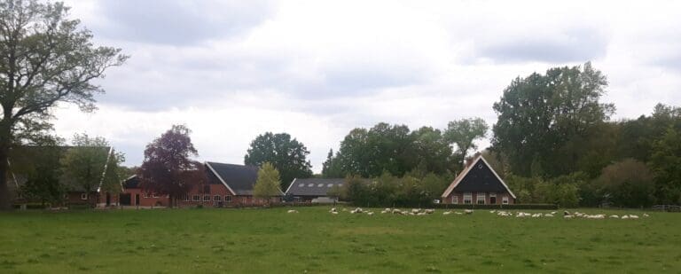 Koosveld Recreatiewoningen