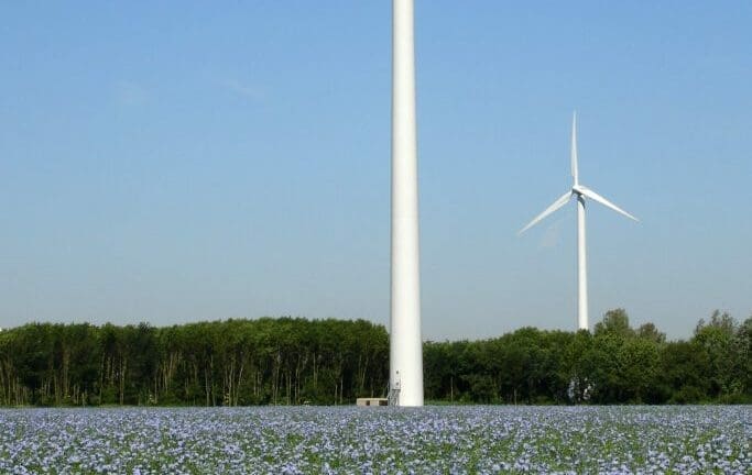 Onze windmolen