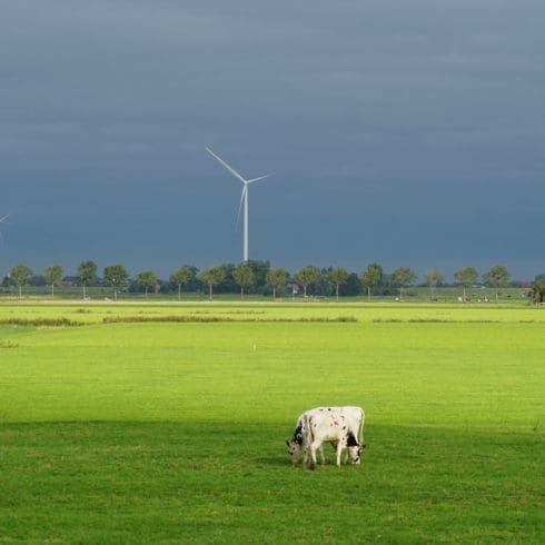 vergroenen met certificaten
