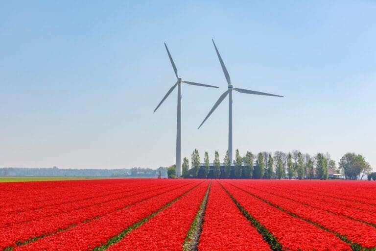 windmolens