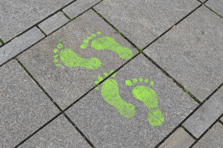 ecologische voetafdruk