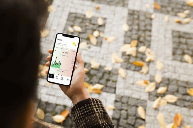 inzicht verbruik app