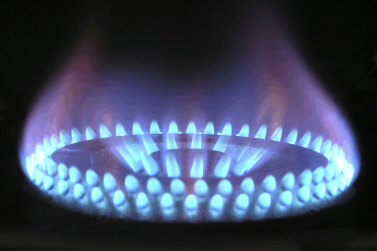 Biogas